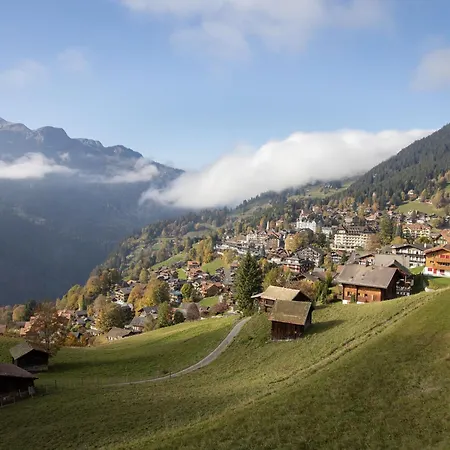 Haus Gertsch Apt-g By Interhome * Wengen